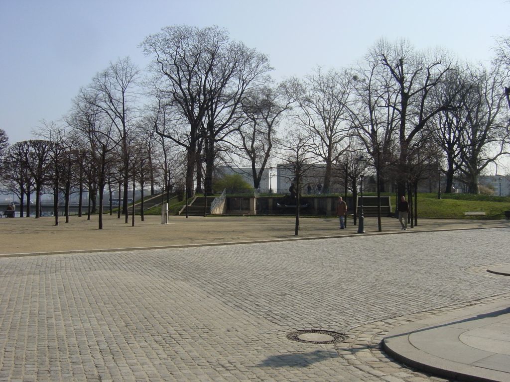 

You can't tell, but there is a pretty spacious hall under these trees.
