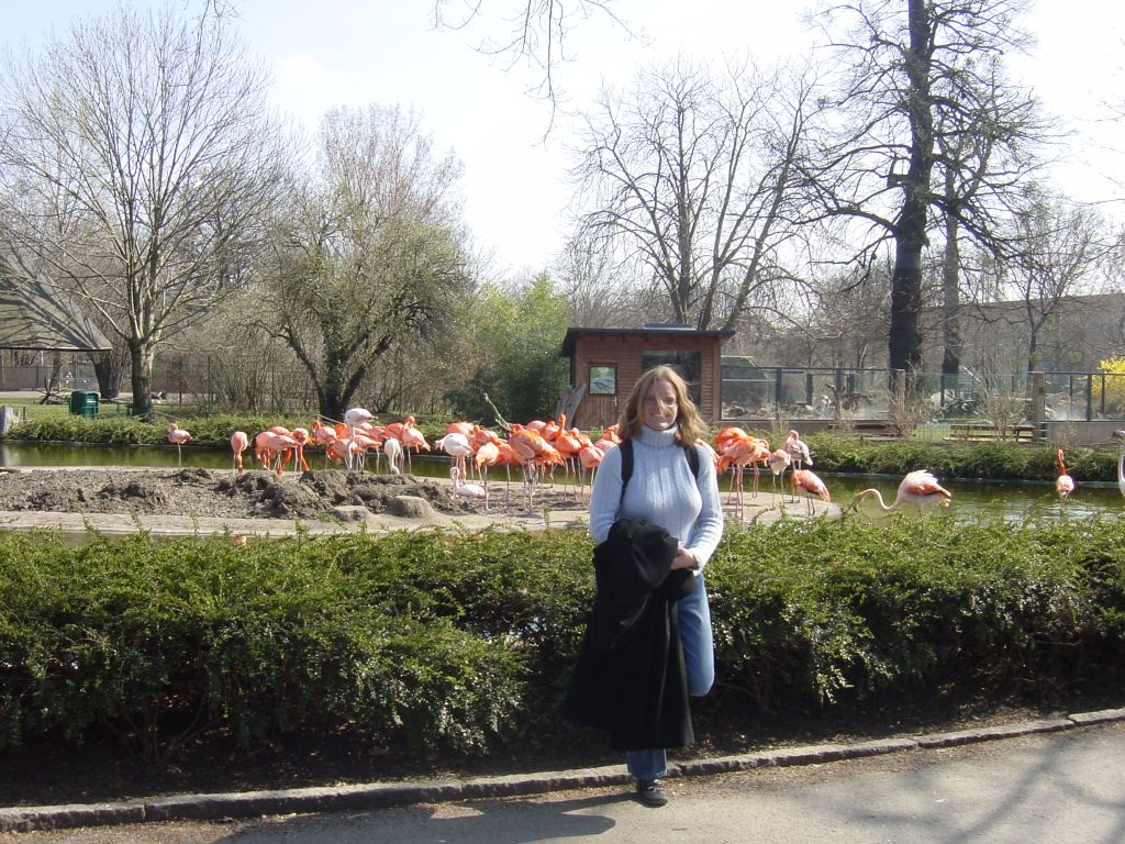 

Kara is blending right in with the flamingos.
