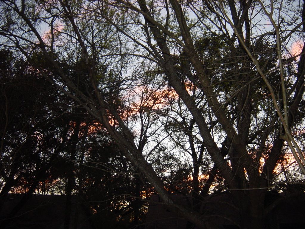 

Matt and I are sitting out on the back porch, enjoying some beer, some grilled chicken, and a beautiful Texas sunset to end a beautiful Texas day.

