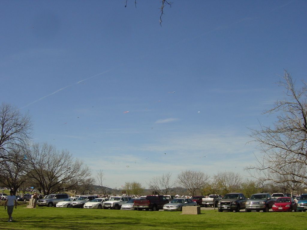 

After lunch at the Shady Grove, we walked over to Zilker Park for the 
Kite Festival.
