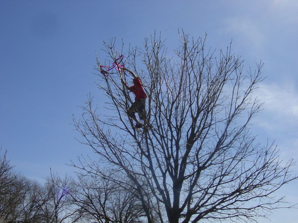 

Sometimes they get stuck in a tree, but just send your kid up to free it!
