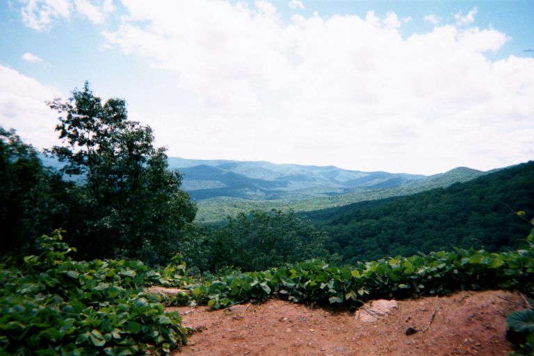 
This is a shot on the trail that leads to the top of Springer Mountain (the 
official start of the AT) from the bottom of Amacolola Falls (where I was
dropped off)
