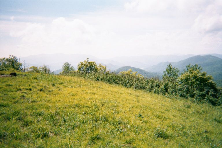 
Looking out from the top of Siler Bald.
