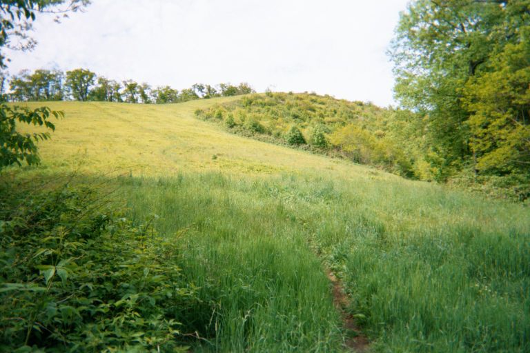 
The path up to the top of Siler Bald.
