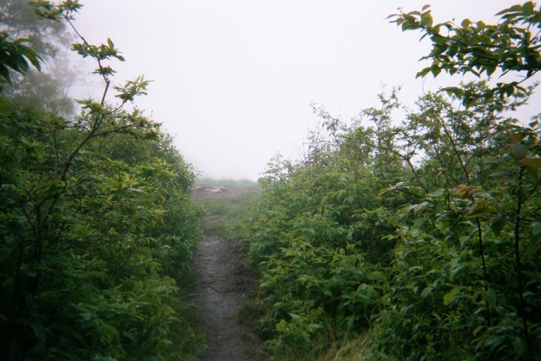 
This is Cheoah Bald, which ``offers one of the most splendid panoramas in the southern Appalachians.''  But not for me, it was fogged in.
