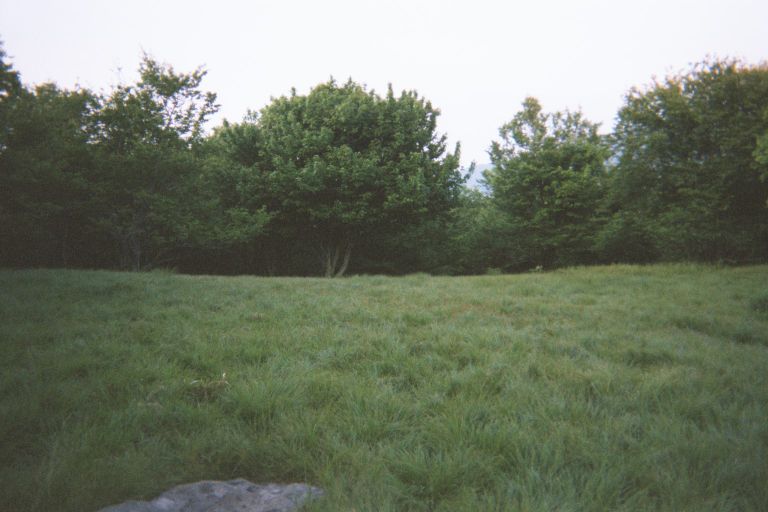 
One of the nice open areas in the GSMNP.
