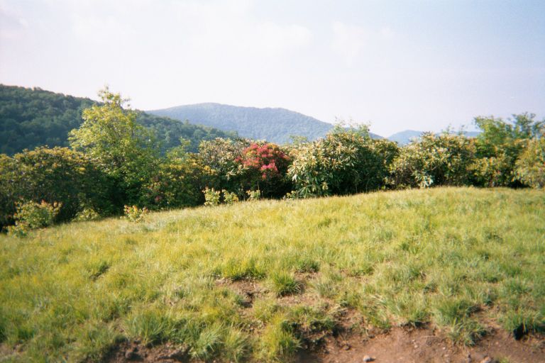 
A nice view with a nice grassy area in GSMNP.
