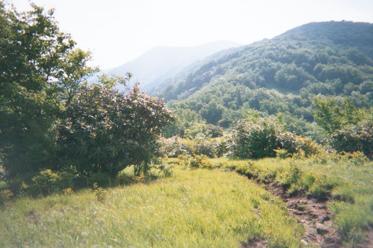 
This is what the trail looks like in a lot of the Great Smoky Mountain National
Park.  The trail tends to not be so nice because they let horses on it.
