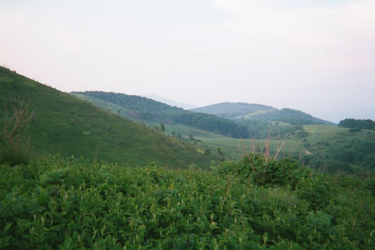 
This is Max Patch Mountain, the nicest place I found on what I hiked on the
AT.
