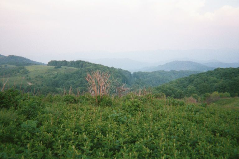 
Another shot from Max Patch Mtn
