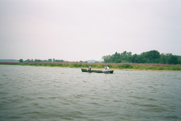 
Out canoeing
