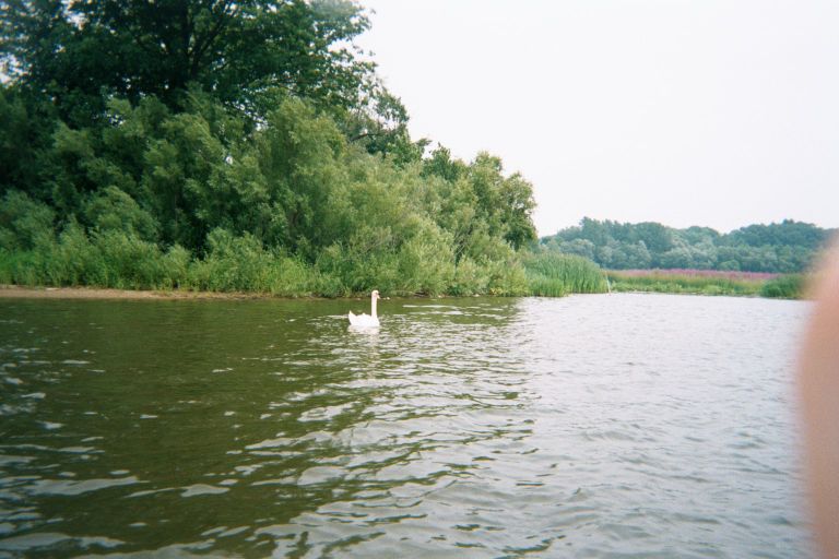 
Evidentally, the canoe trip is going to the birds.
