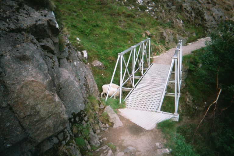 
I thought in Three Billy Goat's Gruff, the goats were <b>above</b> the bridge...
