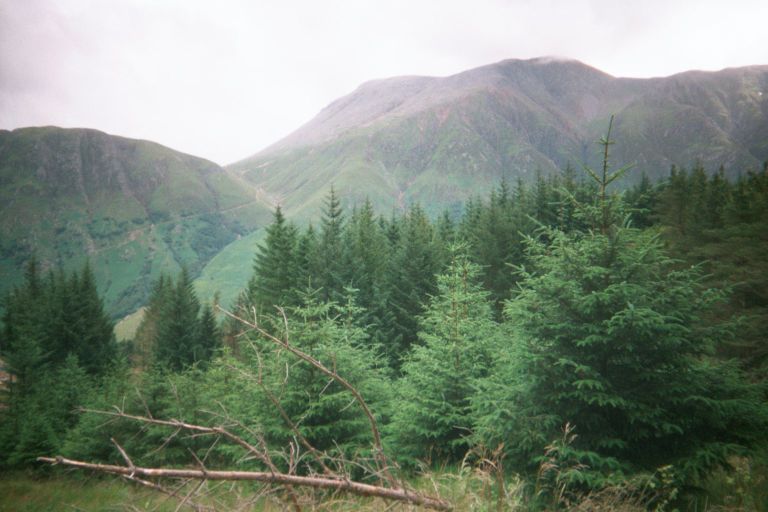 
On the West Highland Way, instead of hiking through a forest with an occasional
view, you get to hike through a view with an occasional clump of trees.
