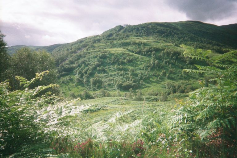 
A Thistle-bordered view
