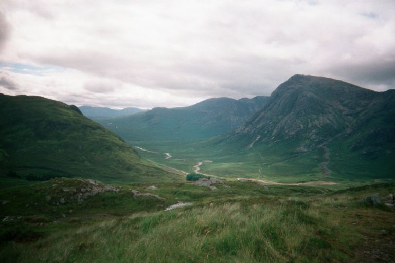 
A view back at the trail.
