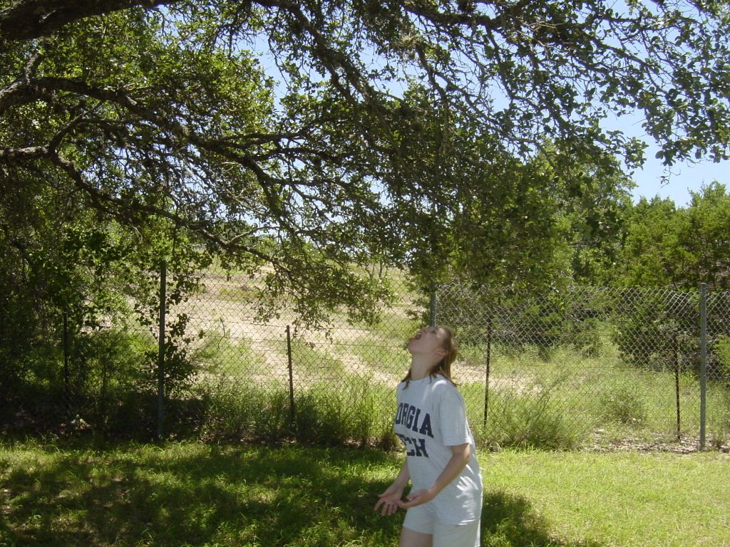 
Shelley, catching cherries lobbed at her without hands.  She is quite good at it.
